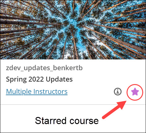Screenshot of starred course