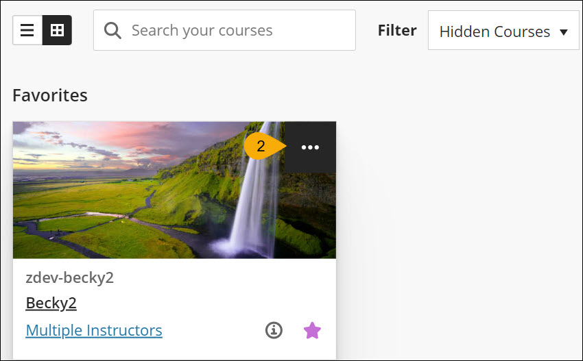 Screenshot of showing a course step two.