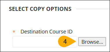 Screenshot of step four