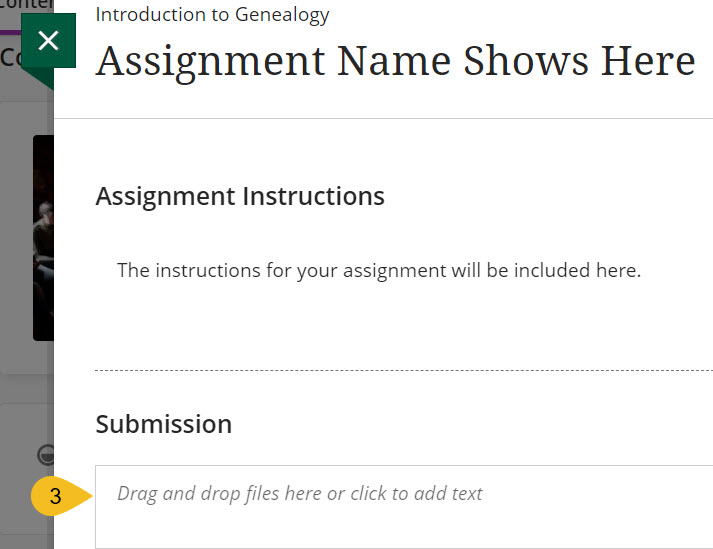 Screenshot of submit an assignment step three