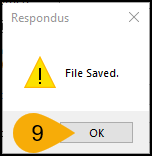 Screenshot of Converting File in Respondus Step 9