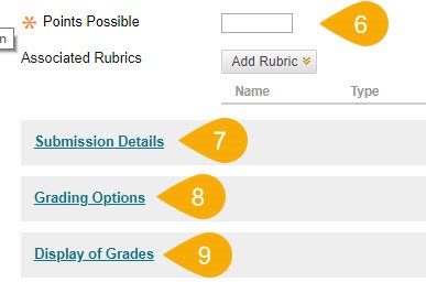 Assignmnet creation options with Points Possible, Submission Details, Grading Options and Display of Grades highlighted