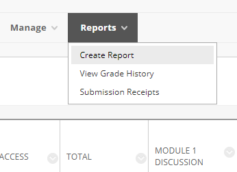 Grade Center Create Reports Button